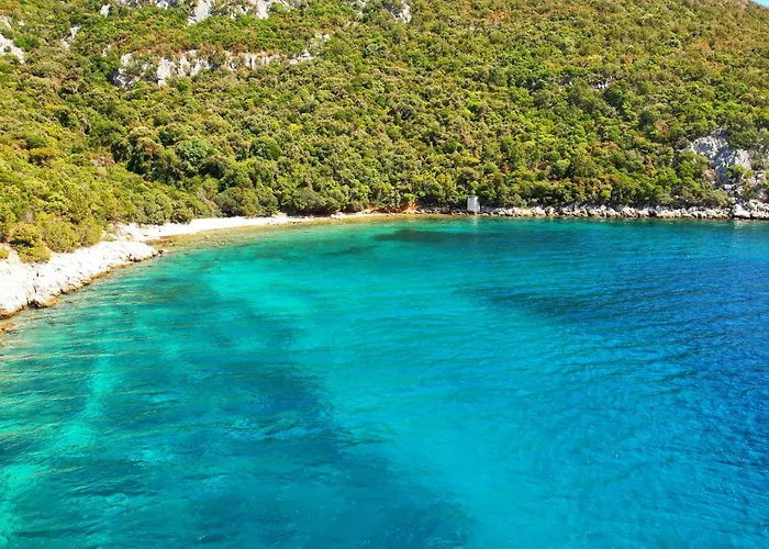 Oceanview Celestial Kali