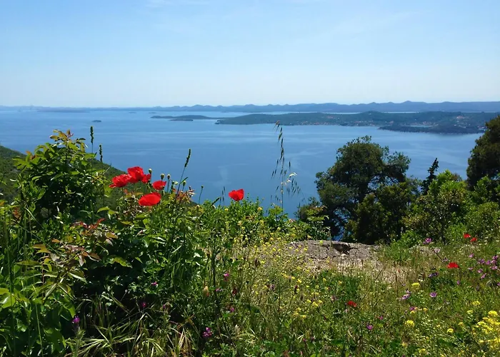 Apartament Oceanview Celestial *