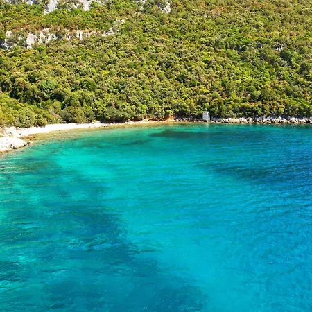 Oceanview Celestial Kali