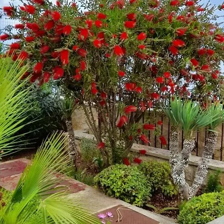 Oceanview Celestial Kali