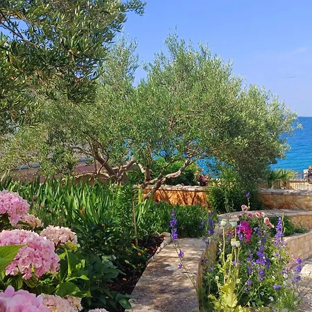 Oceanview Celestial Apartment Kali