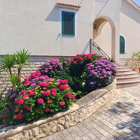 Oceanview Celestial 아파트