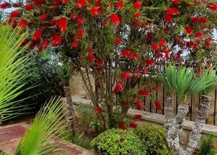 Oceanview Celestial 칼리