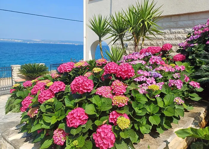 Oceanview Celestial 아파트 *